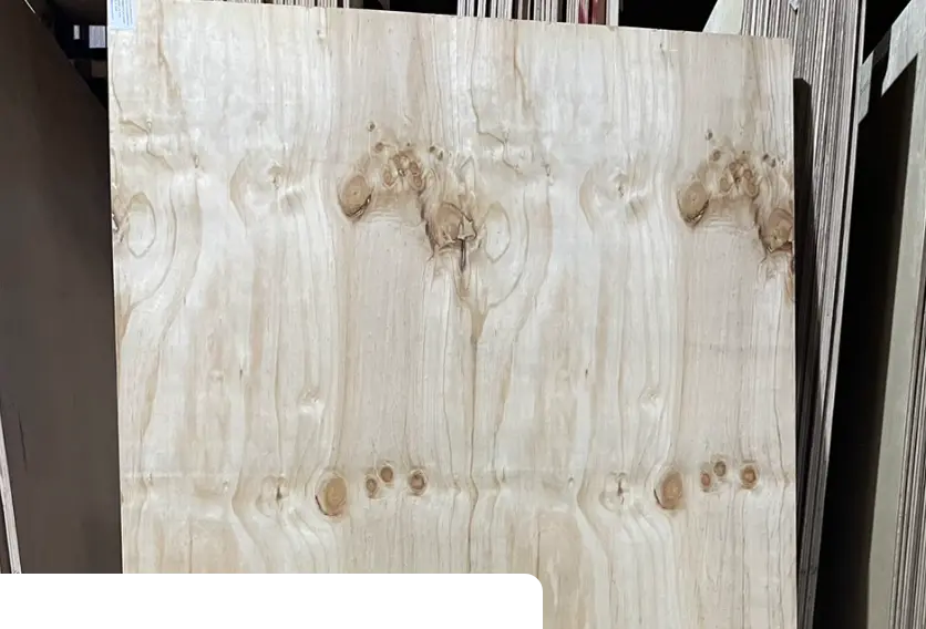 蘆洲建材行 13 建材 行