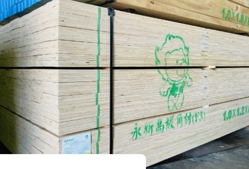 蘆洲建材行 7 附近 建築 材料 行