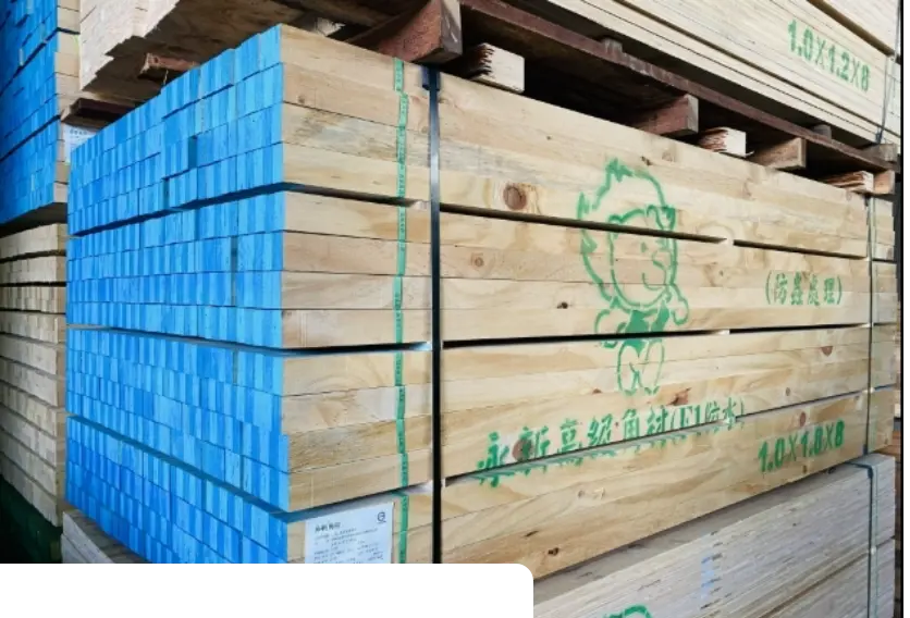 蘆洲建材行 6 附近 建築 材料 行